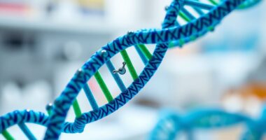 gezielte PARP-Inhibitor-Therapie