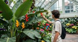 7 U.S. Botanical Gardens You Won’t Believe Are In The City