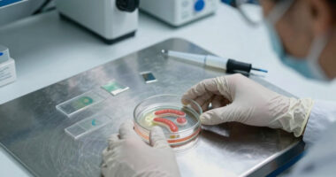 Intestinal Parasite Infection